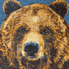 bear-thumbnail